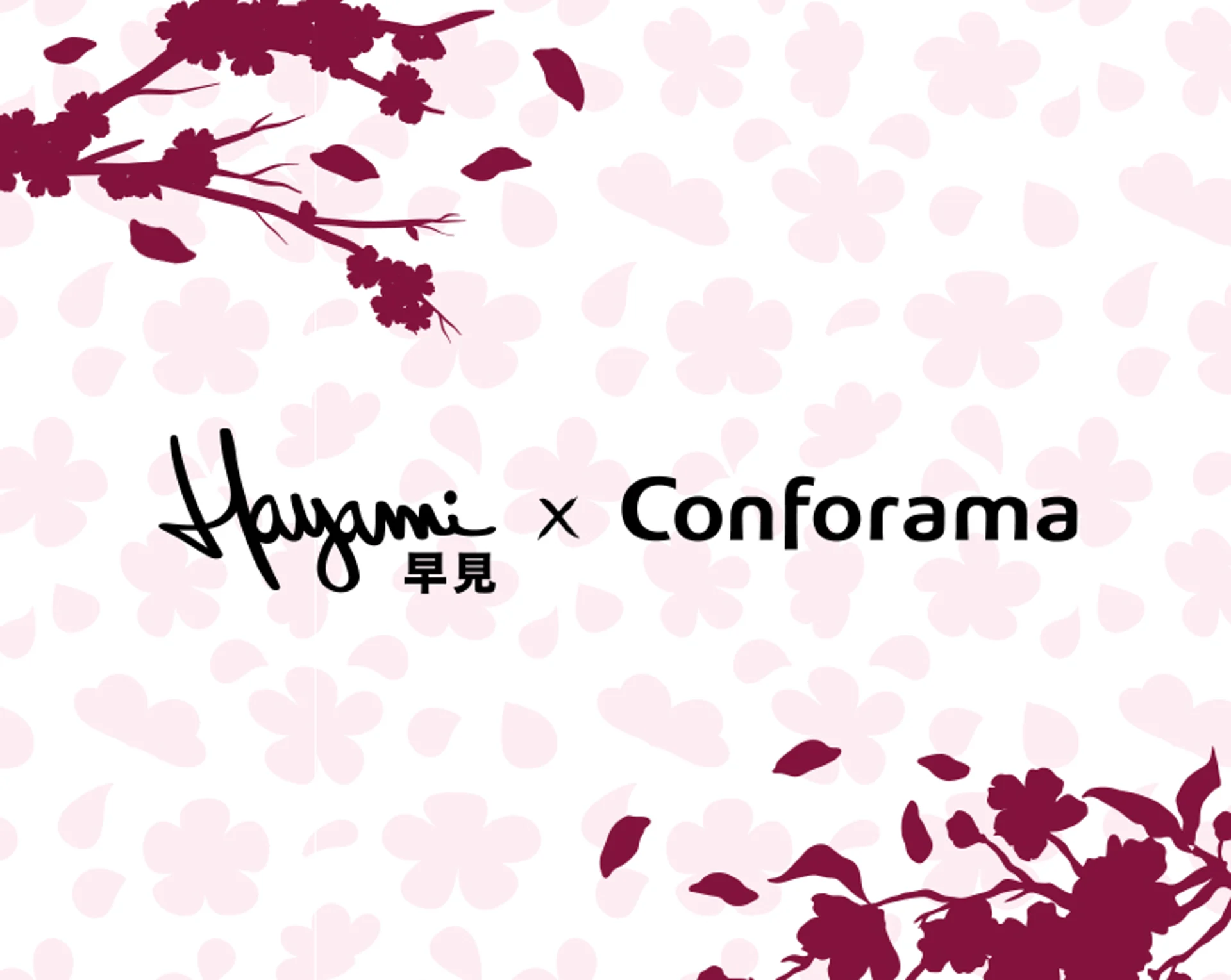 hero-portrait-hayami