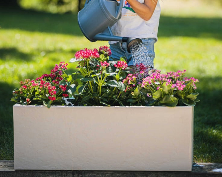 visuel-haut-marche-amenagement-et-decoration-de-jardin-767-mob