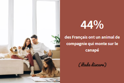 Français vs animaux sur le canapé