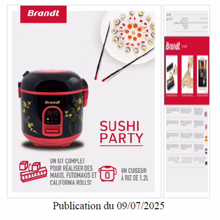 brandt-SUP515-3660767953314-etiquette1.avif