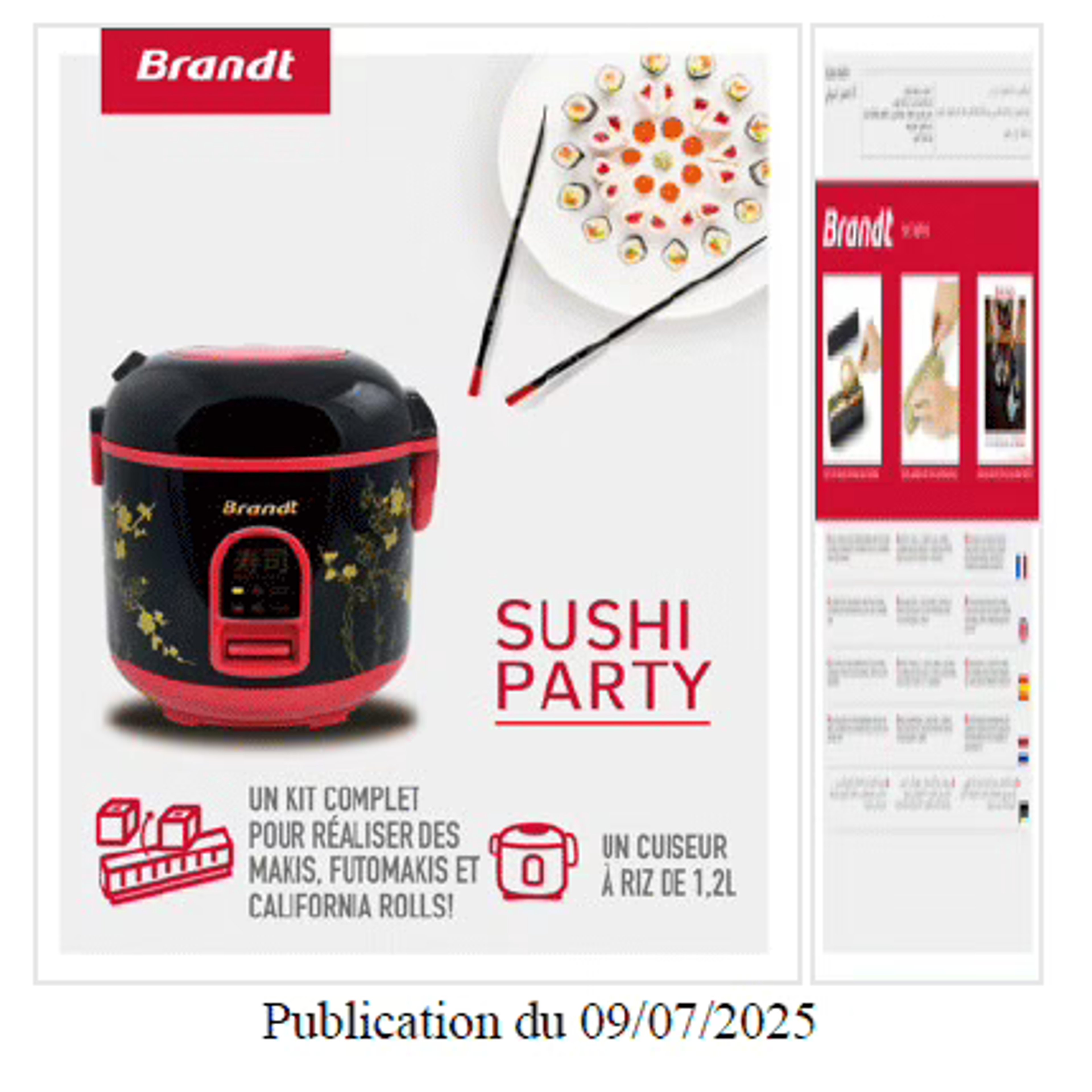 brandt-SUP515-3660767953314-etiquette1.avif